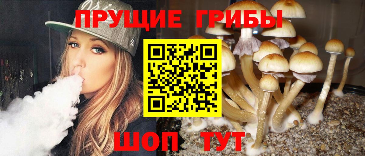 Галлюциногенные грибы мухоморы  Вход с VPN  Чебаркуль 